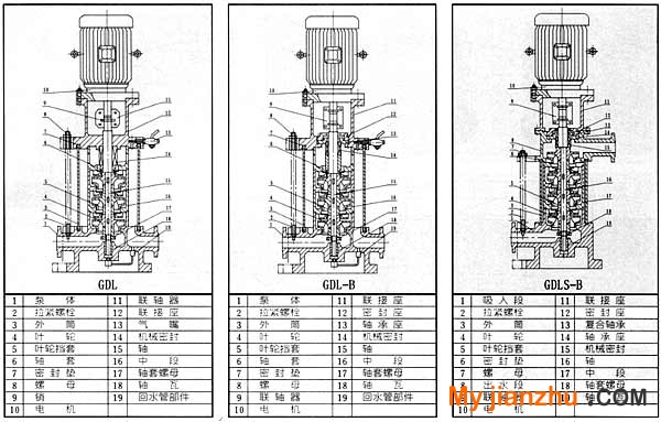 GDL型立式多级管道泵结构图