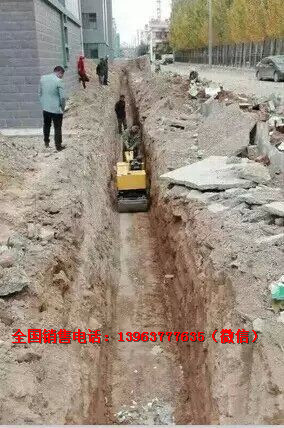 一人操作手扶式小型宣土压路机 俩轮回填土震动压实机图3