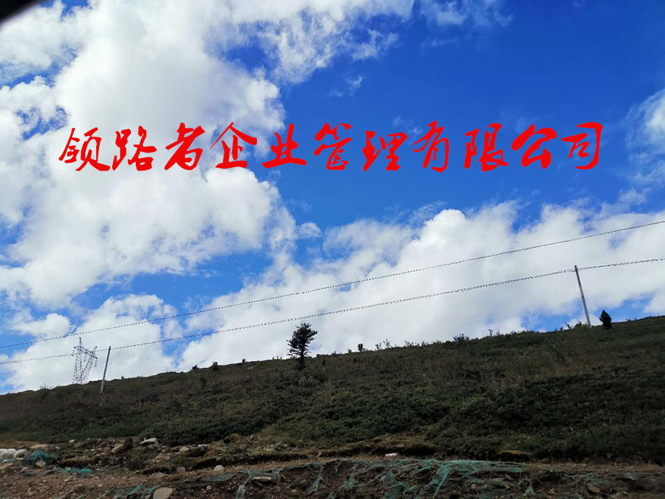湖北水利工程资质代办，劳务公司资质转让，助你成功！！图2