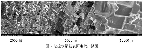 图5 超疏水铝基表面电镜扫描图