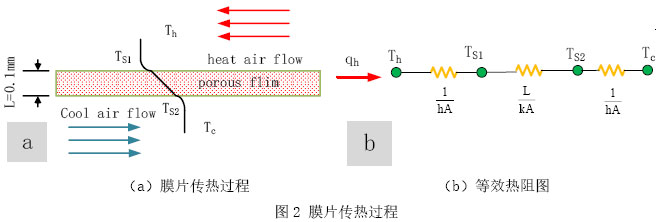 图2 膜片传热过程